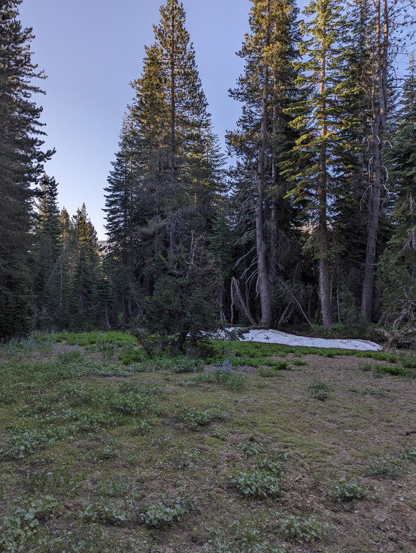 PXL_20250710_134618305