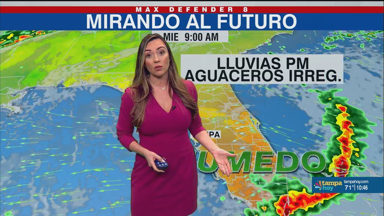 Noticias Tampa Hoy_20241217_03300400.ts_snapshot_17.25.194