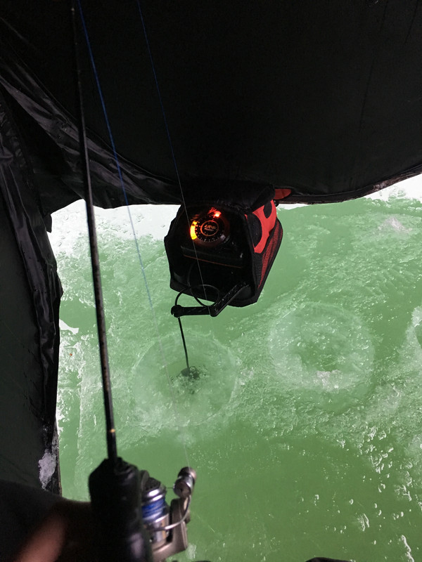 3BD8C75C-9C25-4F4B-B7EE-6B4E70176711