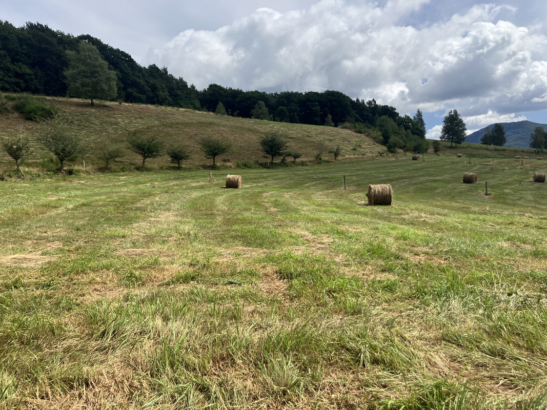 20FCAFB5-8CBD-41DA-9C51-2958EEE4A1D8