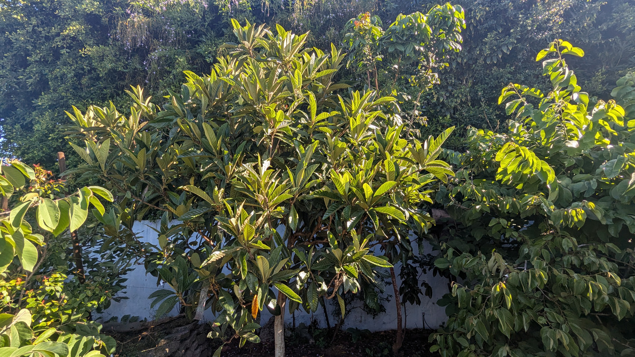 PXL_20251015_165648561