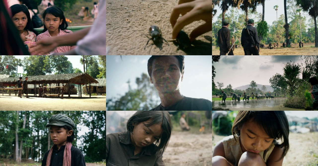 74104798050762846680