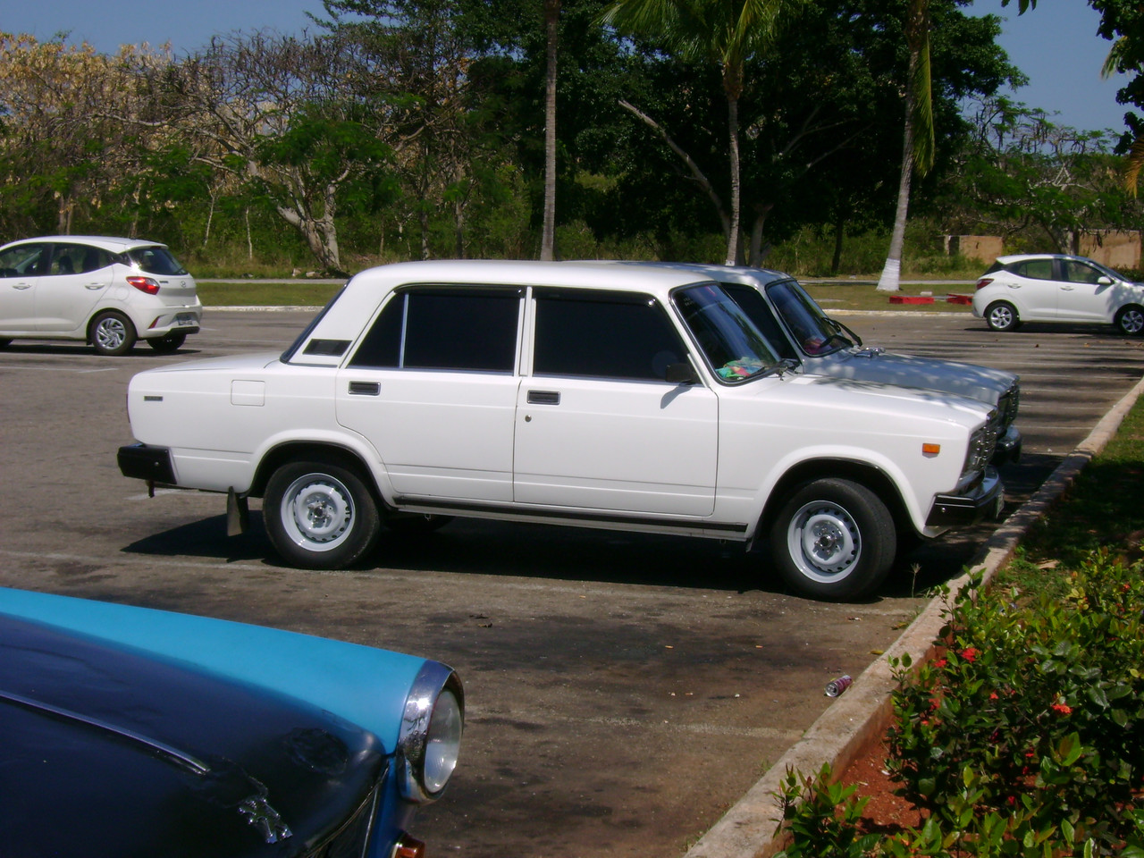 DSC07117