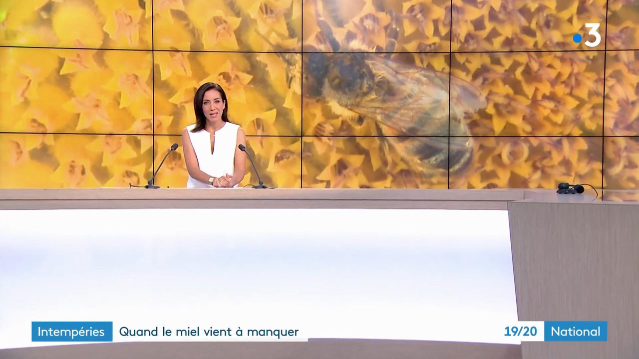08.11 - 18.30.00 - 19 20   Journal national. Toute l'actualité nation....ts_snapshot_25.35_[2021.08.