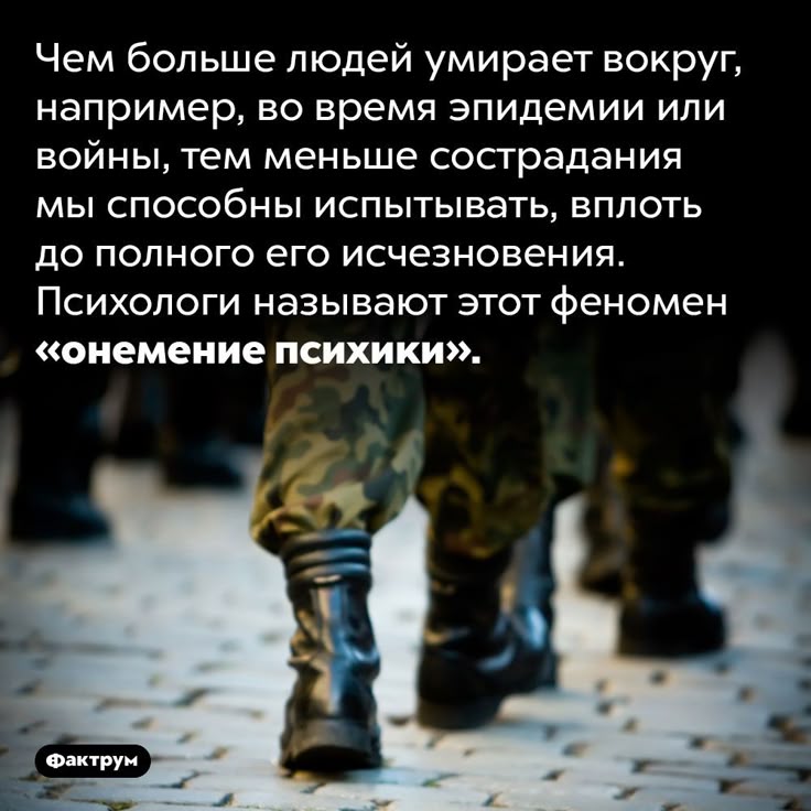 [Изображение: 73dd5f8c8c41343f4d6b77dc43569740.jpg]