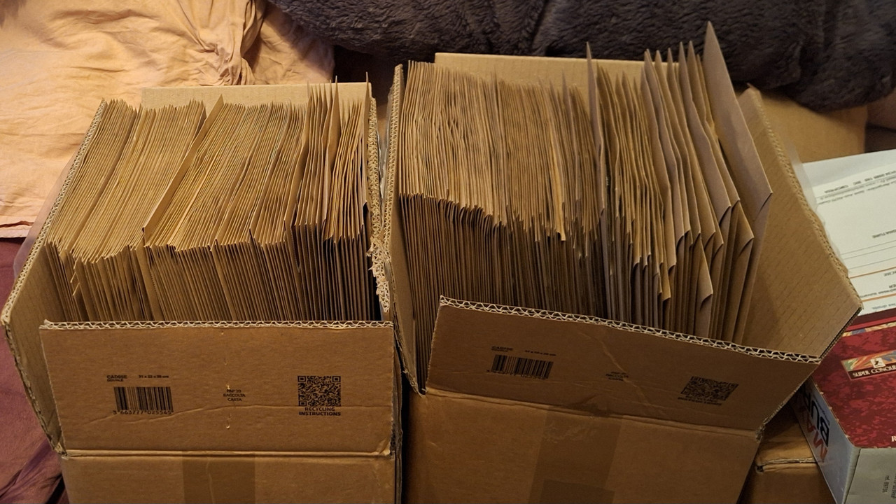 [Image: 20251109-194531.jpg]