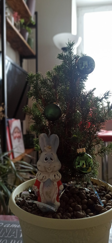 https://i.postimg.cc/vB35c0L0/IMG-20221231-121851.jpg