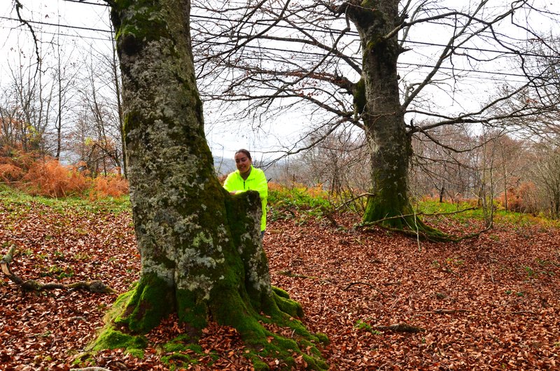 SELVA DE IRATI-14-11-2015-NAVARRA - Paseando por España-1991/2015-Parte-1 (4)