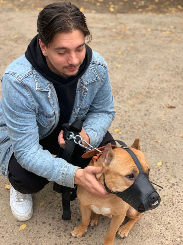 90752DFE-74AB-459F-87E0-E9347A0AE69D