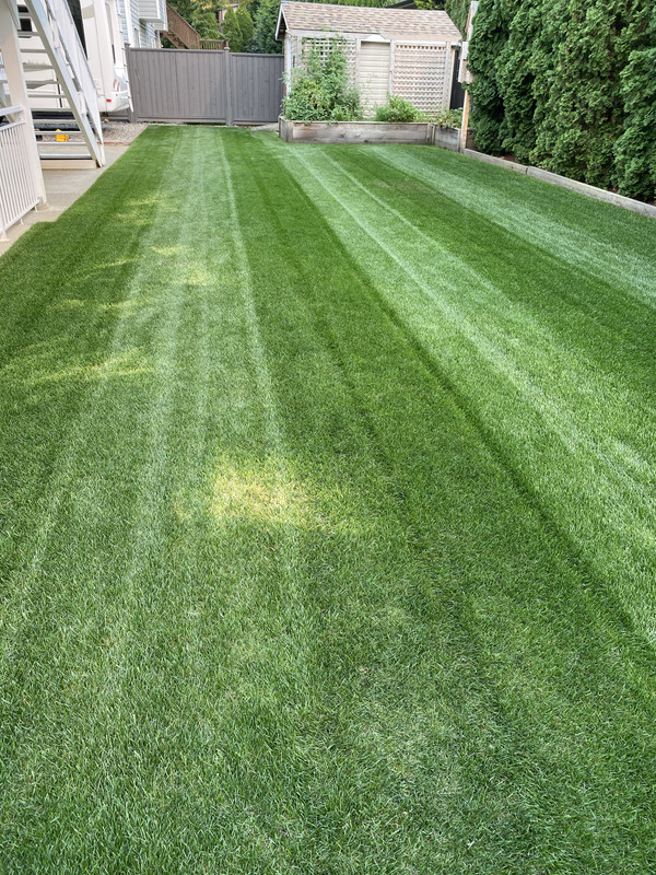 FE8FBE3E-3C67-4A70-8354-D2538AB4BFB7