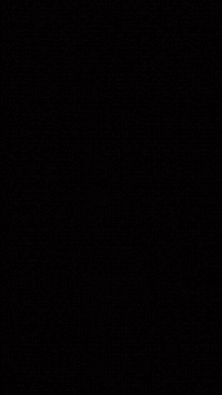 FI6sx6pe9n-Vo-Ceh-W-1.gif