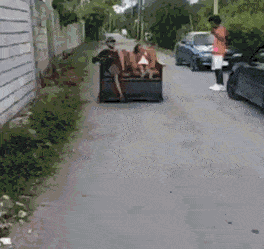 daily-gifdump-3339-18.gif