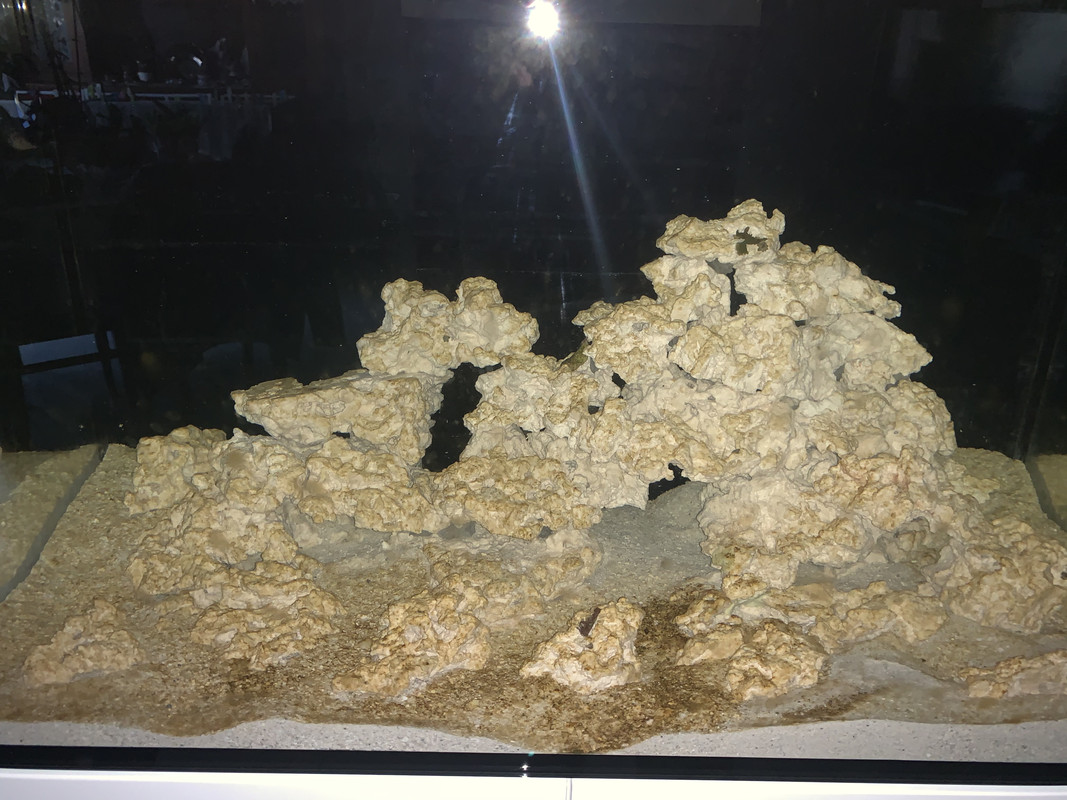 1328ECE6-9512-41B0-88BE-1B6027AC79C3