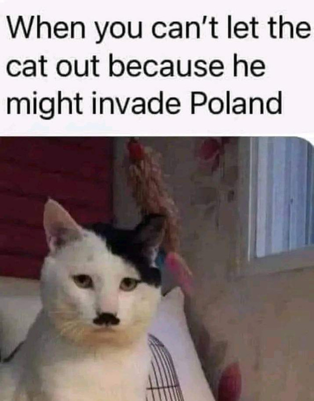 F7-Ofpj-JWYAAZFPr.jpg