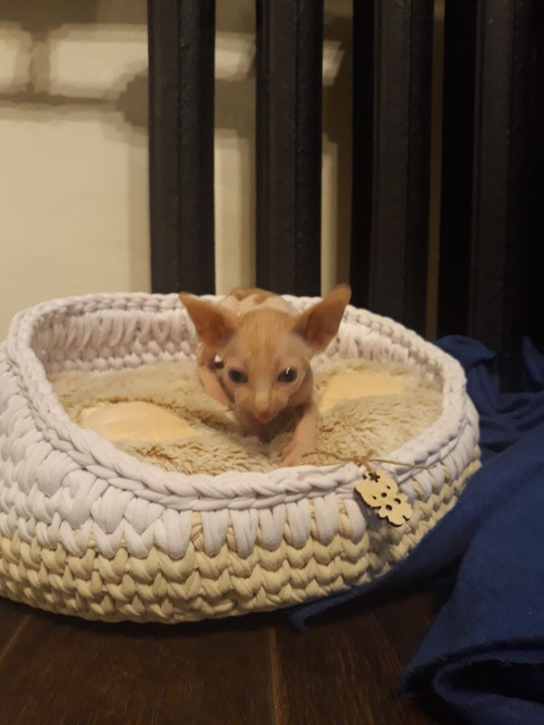 CDE0571E-C95D-402F-A1FF-256633E6286B