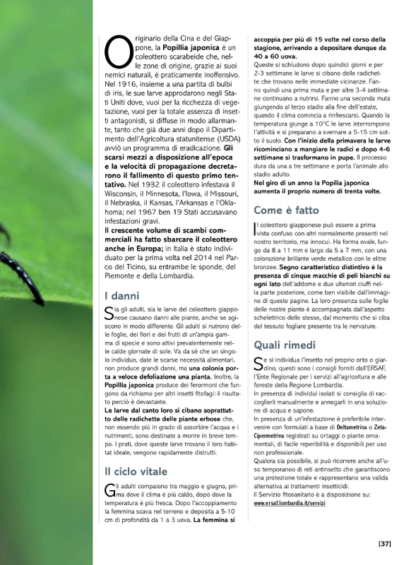 Pass Giar e Orto Giu 2026 (4)