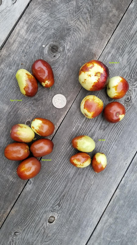 20170928_185801JuJuBe3