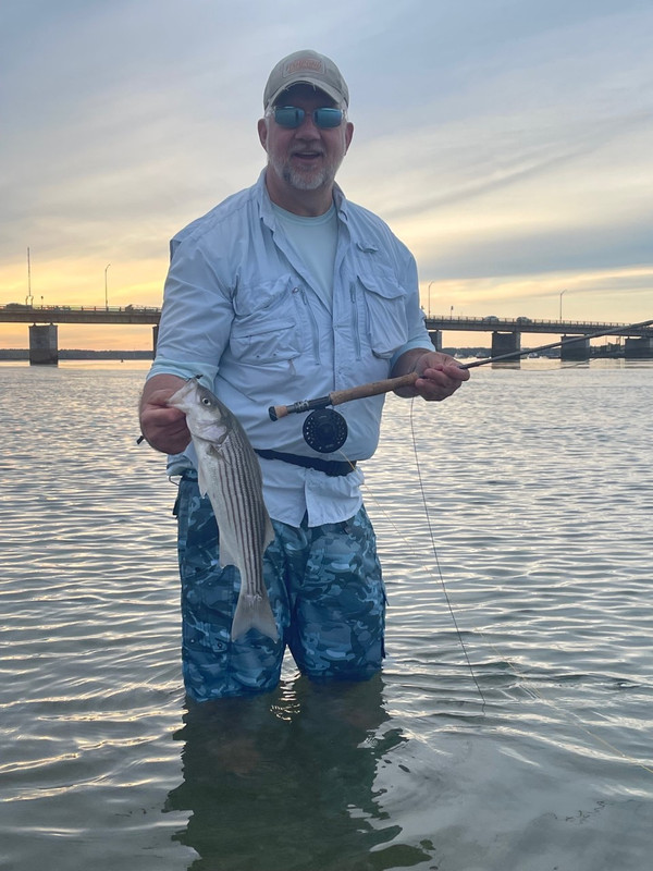 Hampton_Striper2