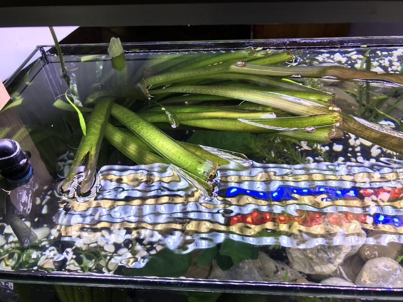 1DF9848A-7B79-4470-B92B-942BAD1D7B60