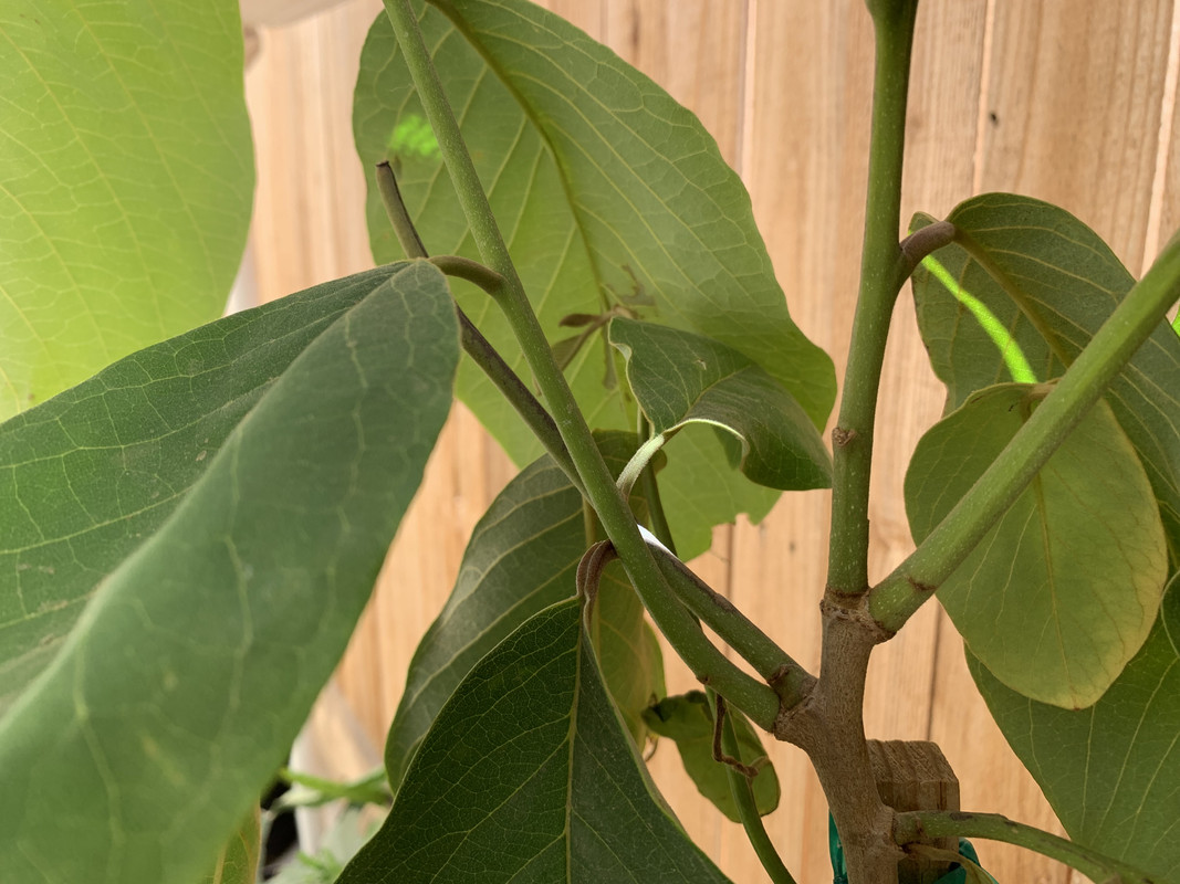 4DC8116B-2F01-4CBF-A74D-B4EB77610689