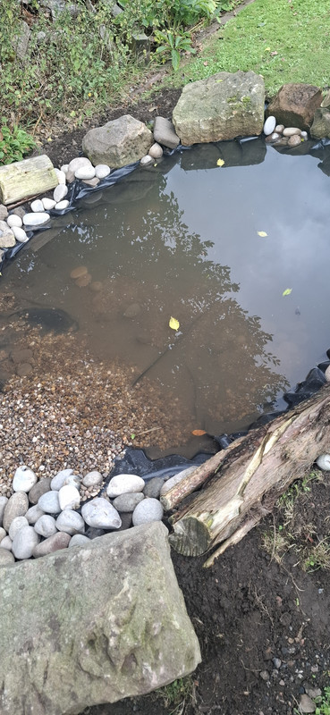 17569825145501103362752440206046