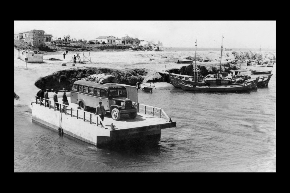 ΣΑΛΥ ΠΟΤΙΔΑΙΑΣ_1955.....