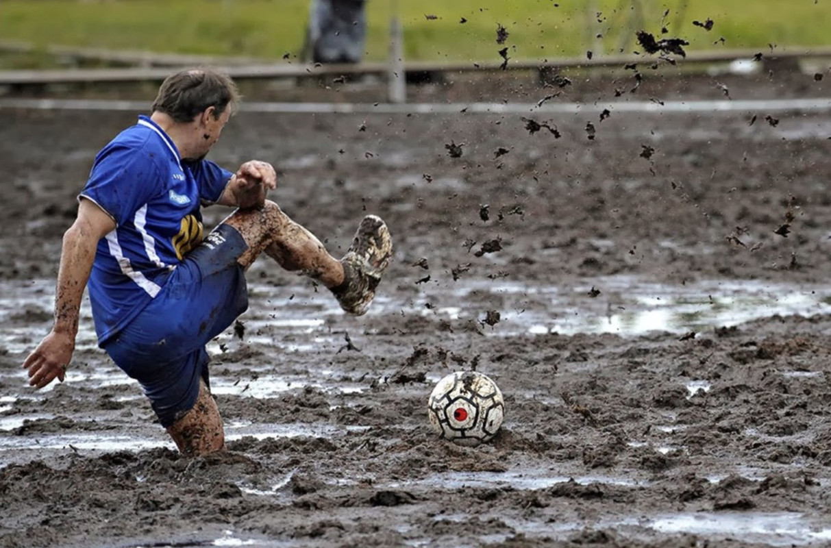 3632B3B6-CCA6-4C8D-9AAE-521FC656B9BA