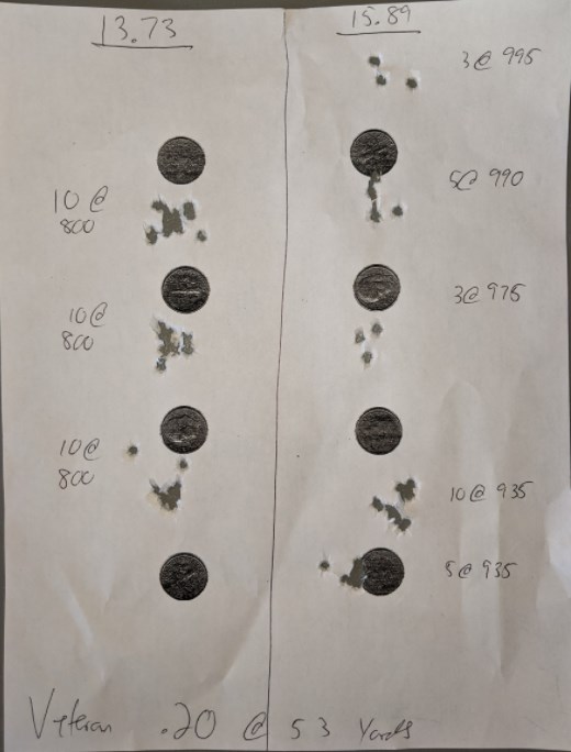 vet .20 accuracy