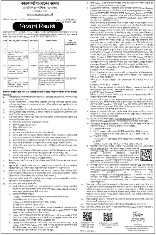 NAPE-Job-Circular-2025