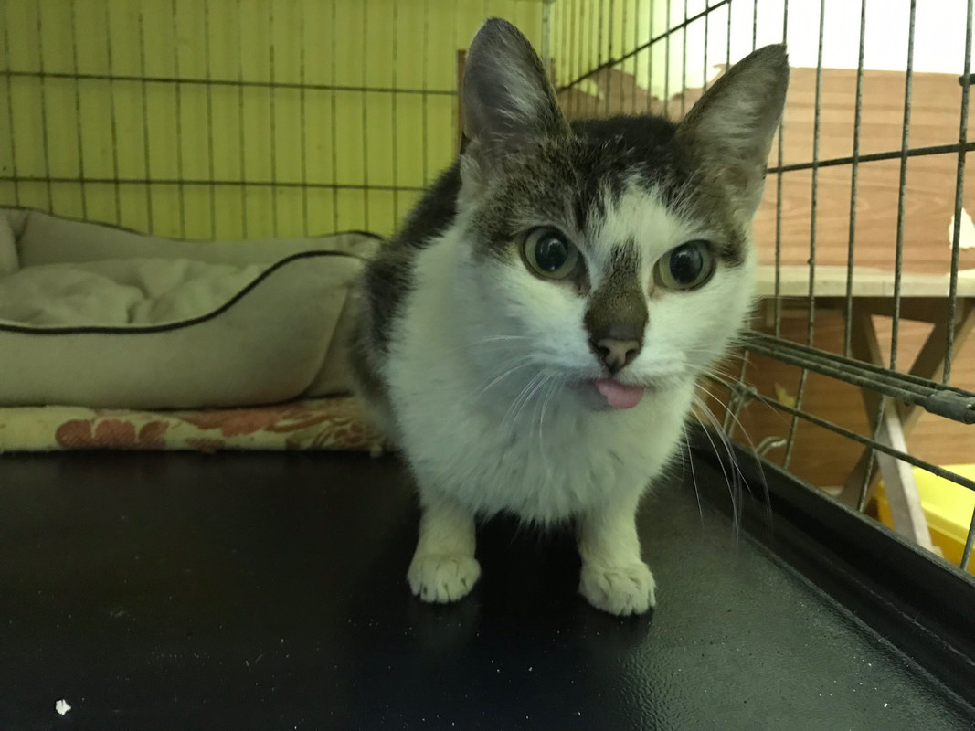 3945D6F9-47DB-4132-9253-861B31E07C67