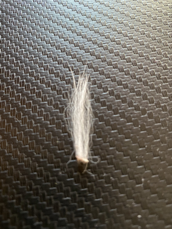 9A1709C1-4556-433A-9EED-534ECB7ECCA7