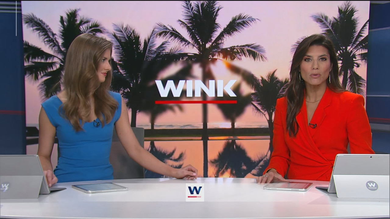 WINK News at 630am_20250122_11301200.ts_snapshot_18.30.940