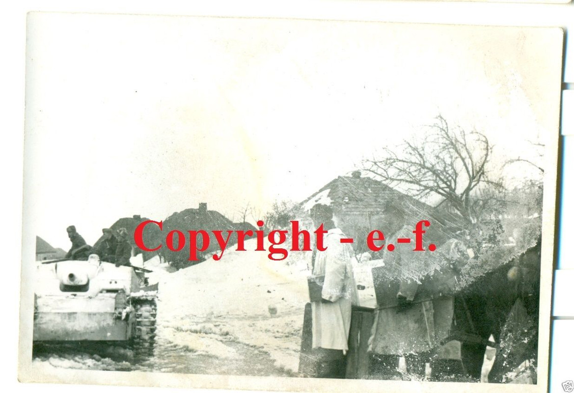 FOTO - STURMGESCHÜTZ - WINTER-TARNUNG