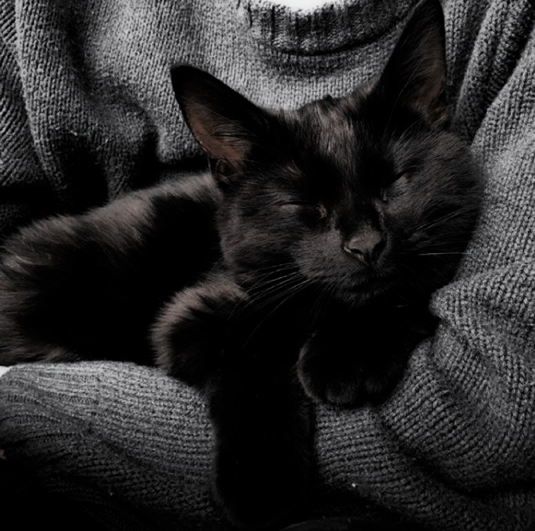 binx's avatar
