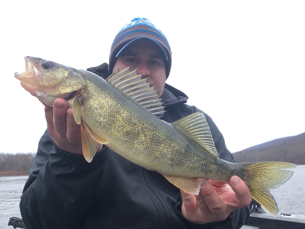 BDF50E38-2F08-4AC6-82F9-11844A4BDFCF