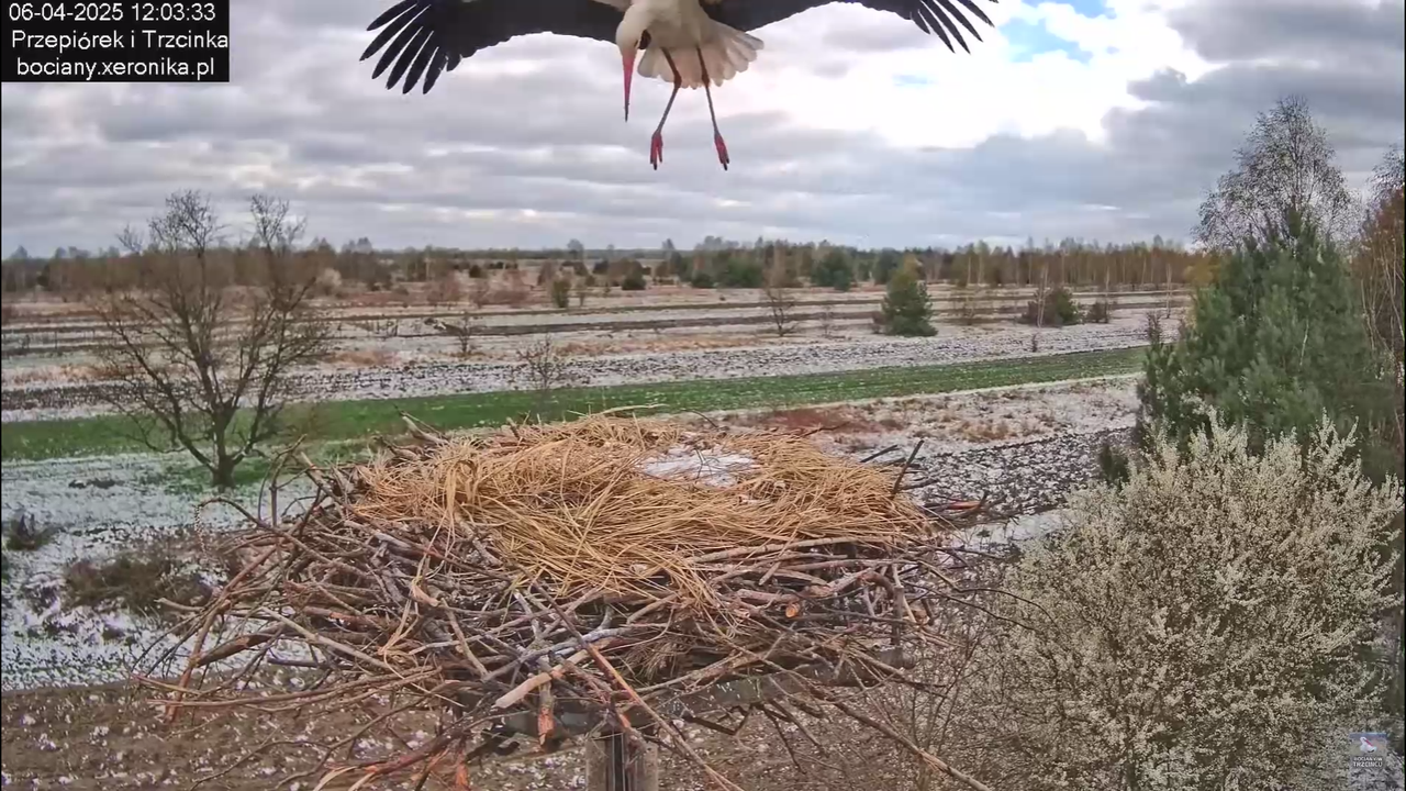 06042025minutazbocianem_2