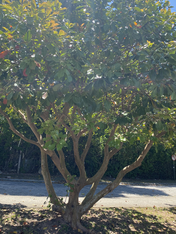 1F1B10C4-5349-4A89-9B37-9CE5D857CAE3