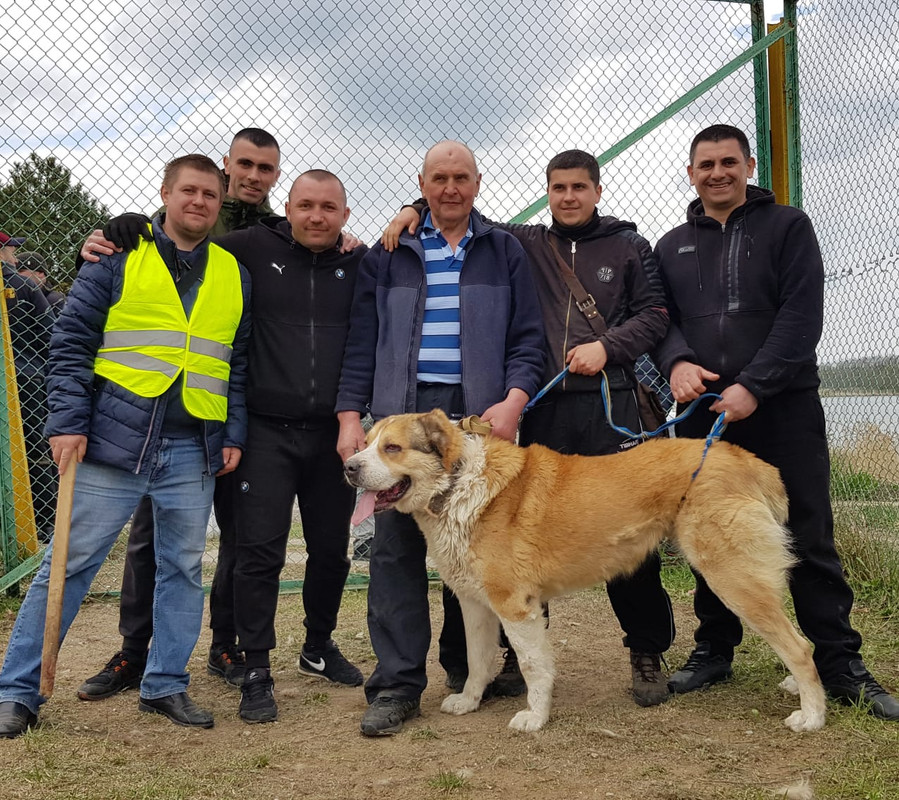 C95DA846-F546-4A78-B3AA-F909CC0D2567