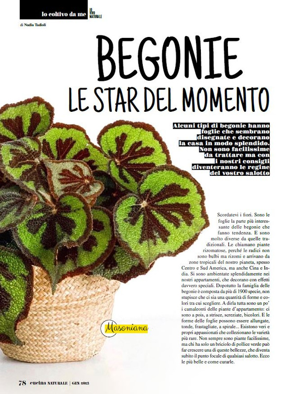 Cucina Nat Gen 2023 (11)