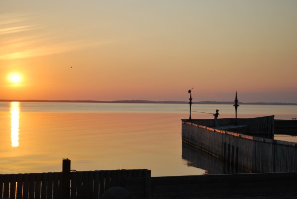 DSC_5603_renamed_22169