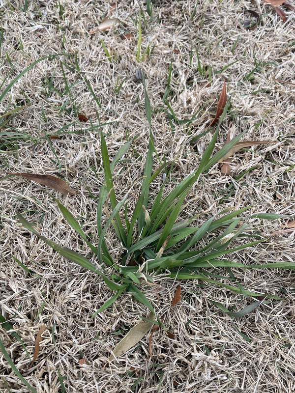 D110E754-362A-4841-8D83-3BE9F8AAB0DF