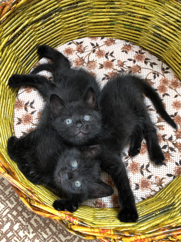 5E094913-EC8A-4C05-8E26-175A26888797