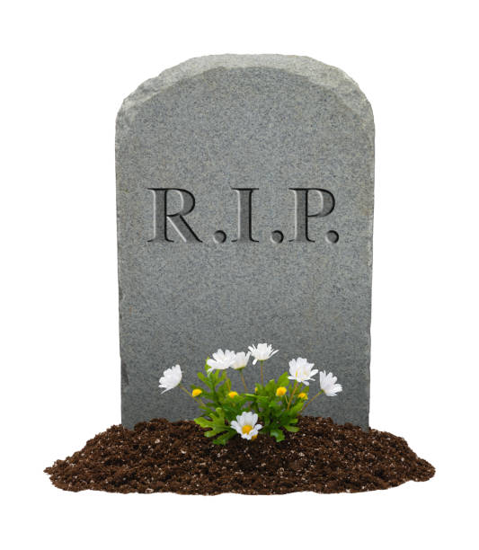 Rip.jpg