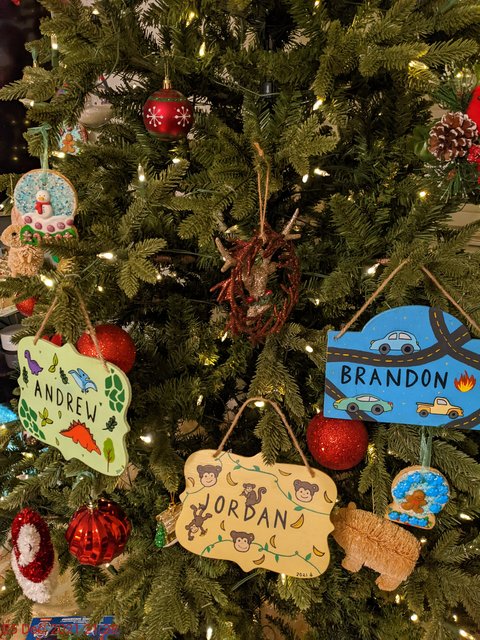 [Image: PXL-20211226-023748126.jpg]