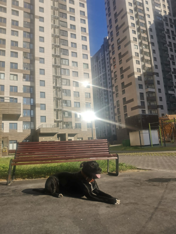 6356E219-369D-44DC-B4D8-C90FC8E885FE