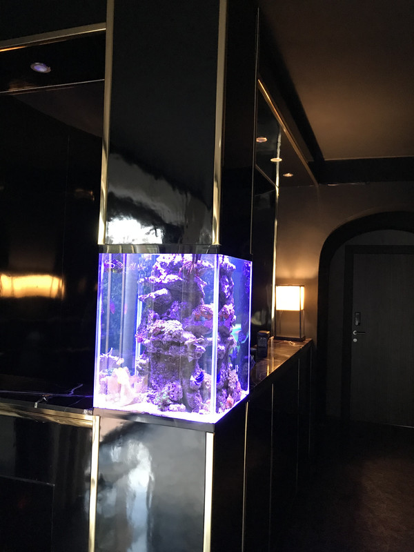 56B23E4F-AB77-43C7-95C9-2F1CA280788E