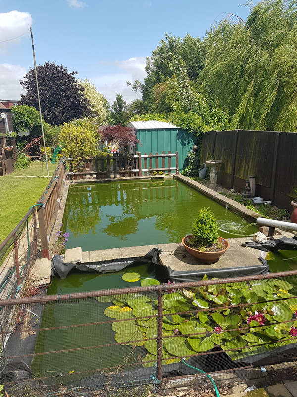 1528982369557247360996790428983