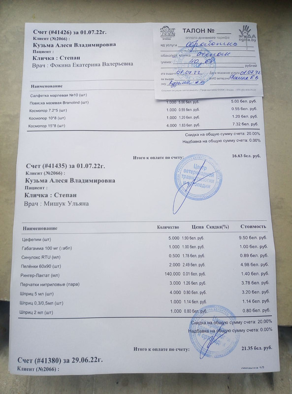 изображение_viber_2022-07-02_15-58-04-763