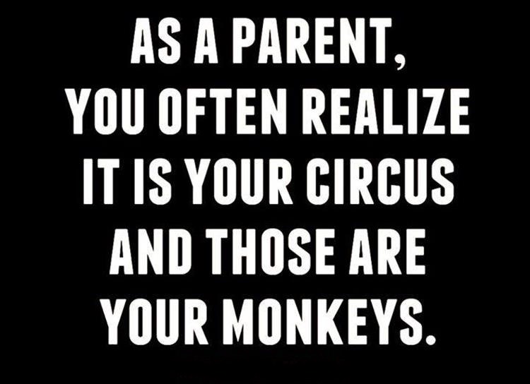 it_s_your_circus_and_your_monkeys.jpg