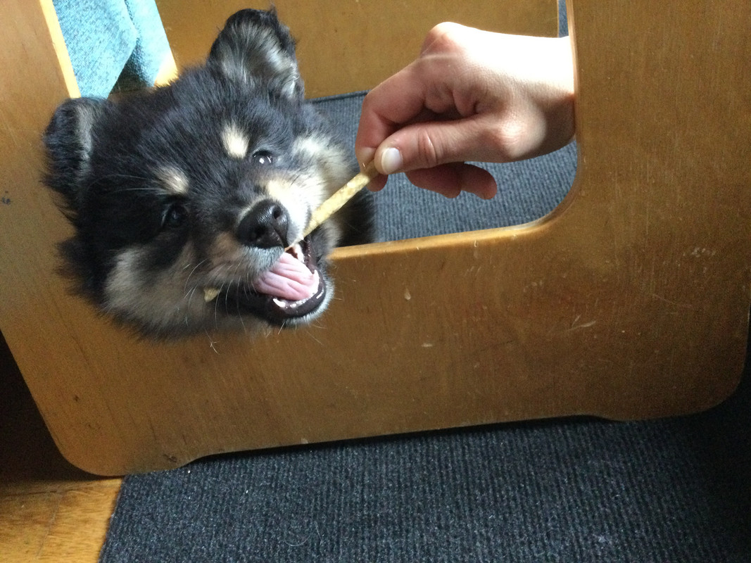 ADE3D23D-8265-4D37-841F-D30F74BB4A9B